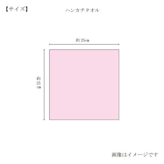 今治謹製 はんかちたおる　ハンカチタオル　約25×25㎝　TIHT101（今治製）のサイズ