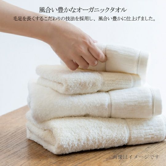 今治謹製オーガニックタオル　オーガニックパイル　フェイスタオル２枚・ウォッシュタオル１枚　IOG3940（今治製）の風合い