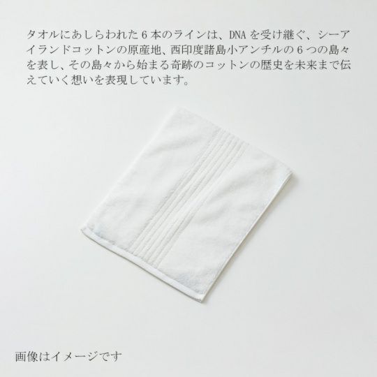 今治謹製 COEST(コースト)　フェイスタオル 1枚　約34×80㎝　TCOE02　（今治製）にあしらわれた6本のライン