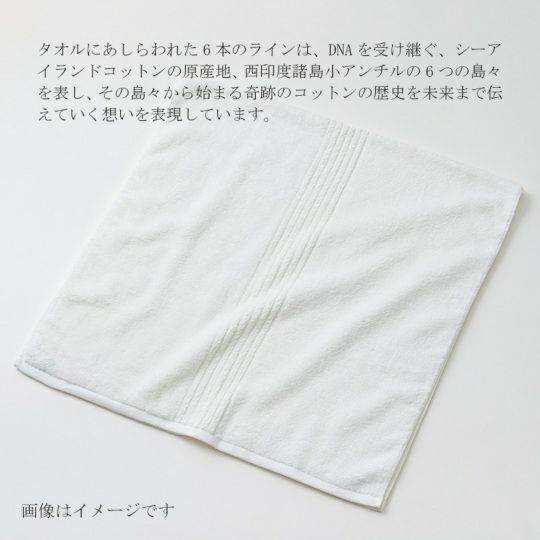 今治謹製 COEST(コースト)　バスタオル 1枚　約75×140㎝　TCOE03　（今治製）のタオルにあしらわれた6本のライン