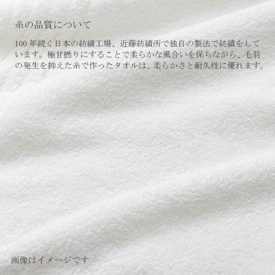 今治謹製 COEST(コースト)　バスタオル 1枚　約75×140㎝　TCOE03　（今治製）の糸の品質
