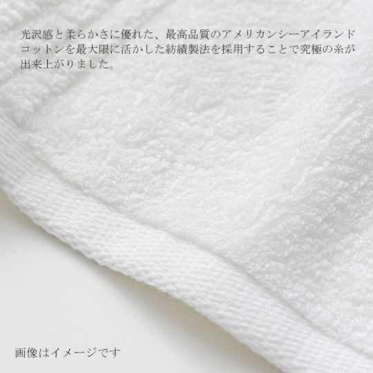 今治謹製 COEST(コースト)　バスタオル 1枚　約75×140㎝　TCOE03　（今治製）光沢感と柔らかさに優れた最高品質