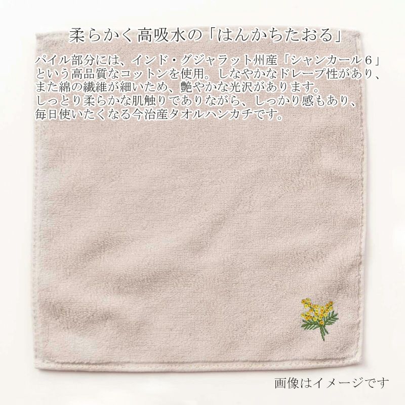 限定セット】今治謹製 ミモザタオルセット(M) コンパクトバスタオル1