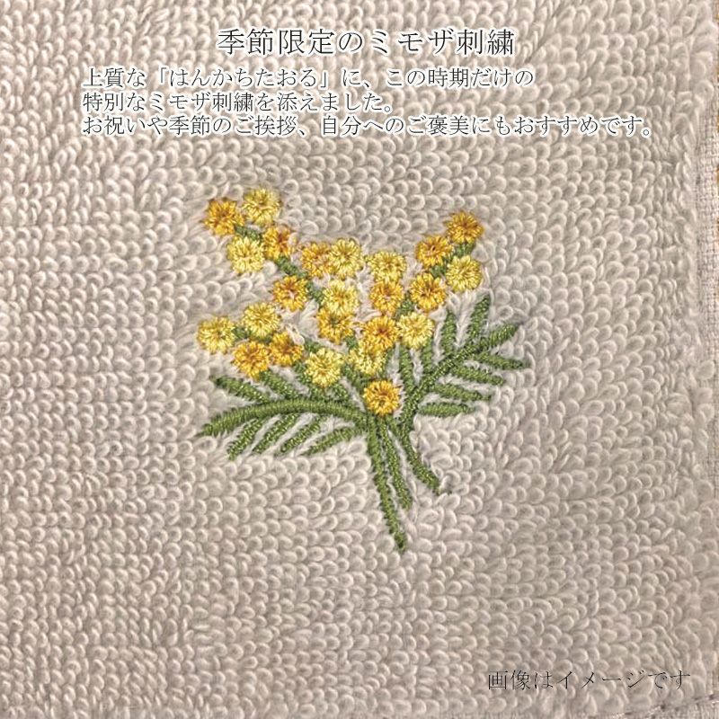 限定セット】今治謹製 ミモザタオルセット(M) コンパクトバスタオル1